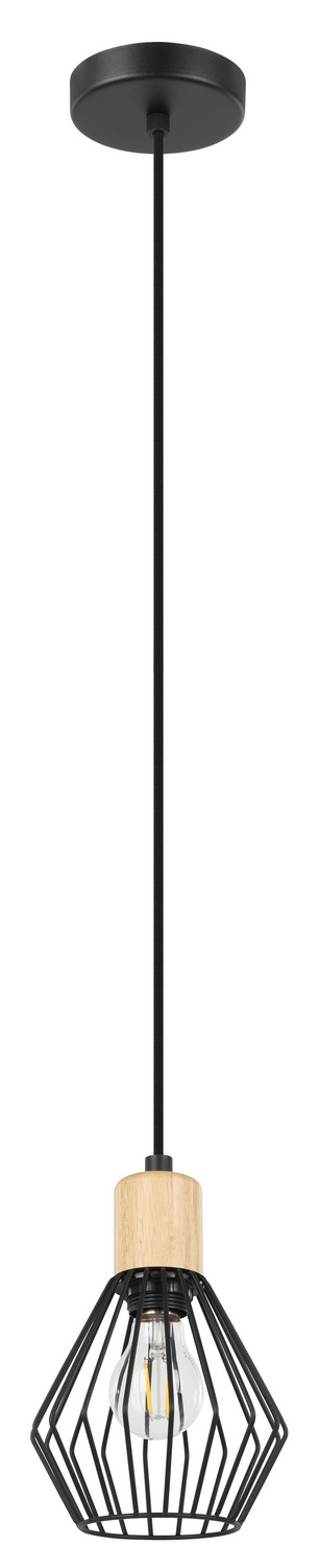 Structured Black One Light Pendant from the Palmorla Collection