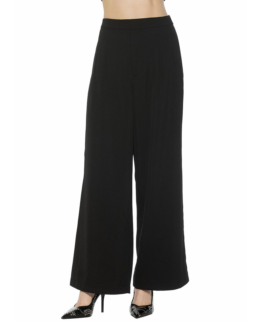 Arlo Pant