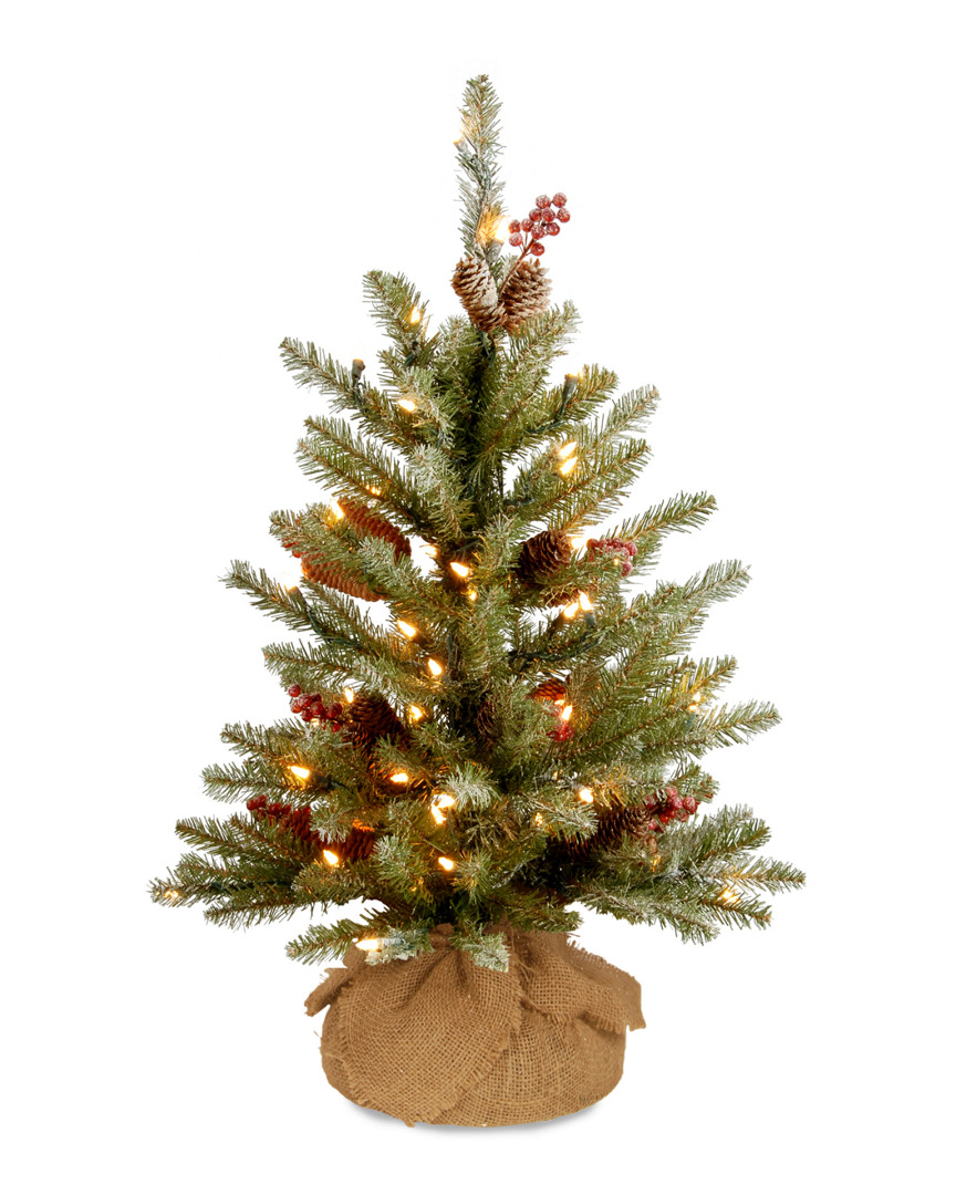 National Tree Company 2ft Dunhill Fir Small Tree with LED Lights