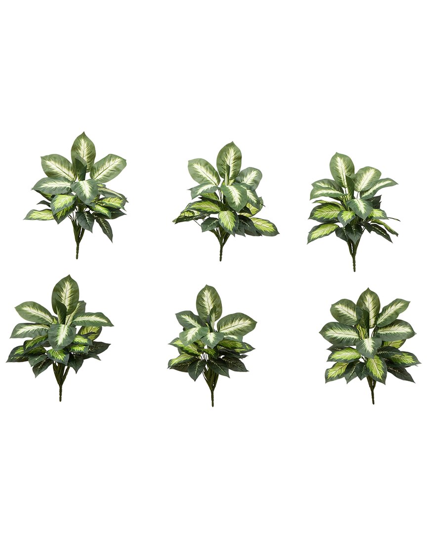 Set of 6 Artificial Golden Dieffenbachia Plants