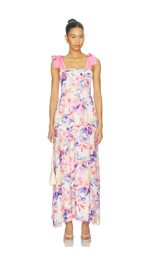 BEACH RIOT Charlotte Dress in Hibiscus Garden. XS also in S, M