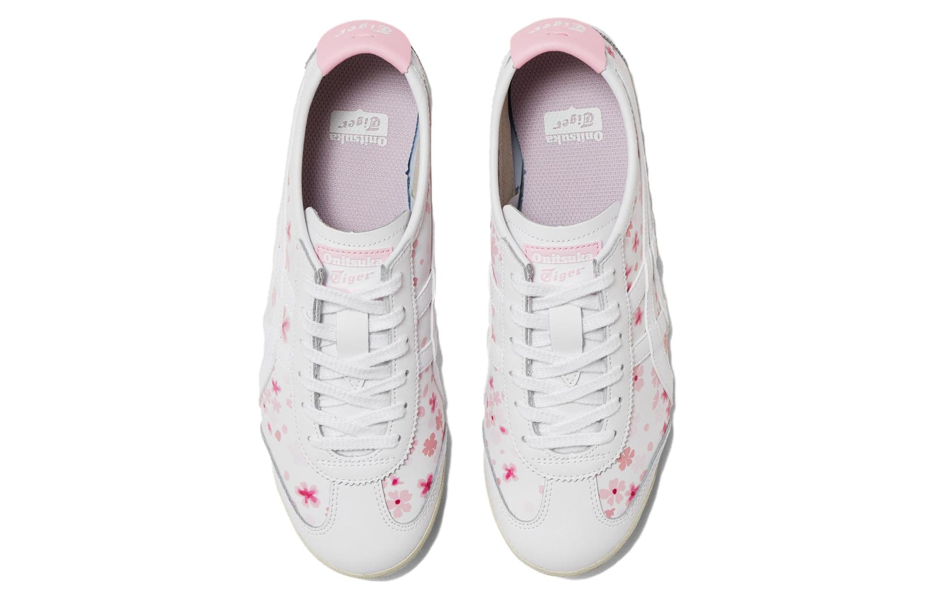 Mexico 66 'White Cherry Blossom'