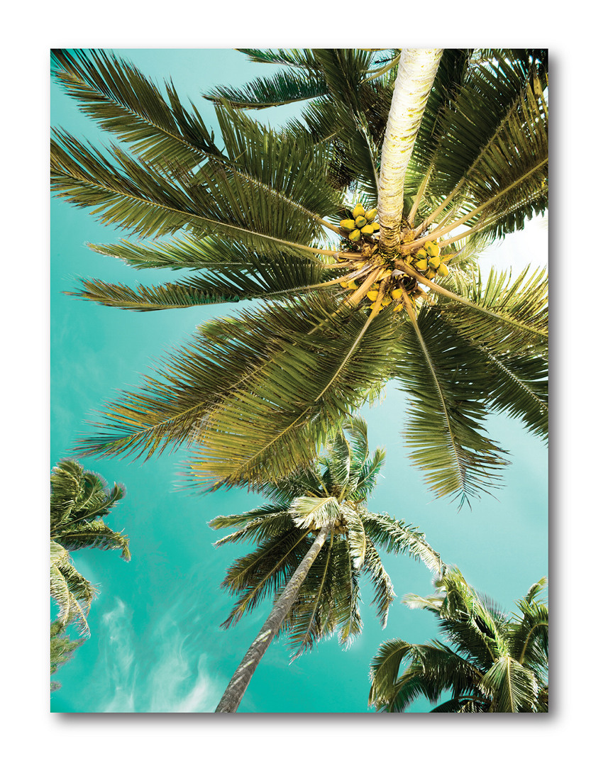 Wall Decor Palms Up Gallery-Wrapped Canvas Wall Art