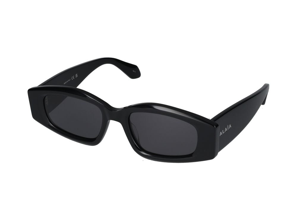 AA0079S Sunglasses — Black