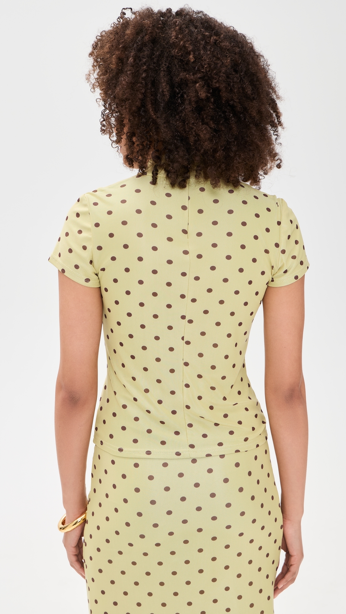 Polka Dot Mesh High Neck Top Pistachio/Brown