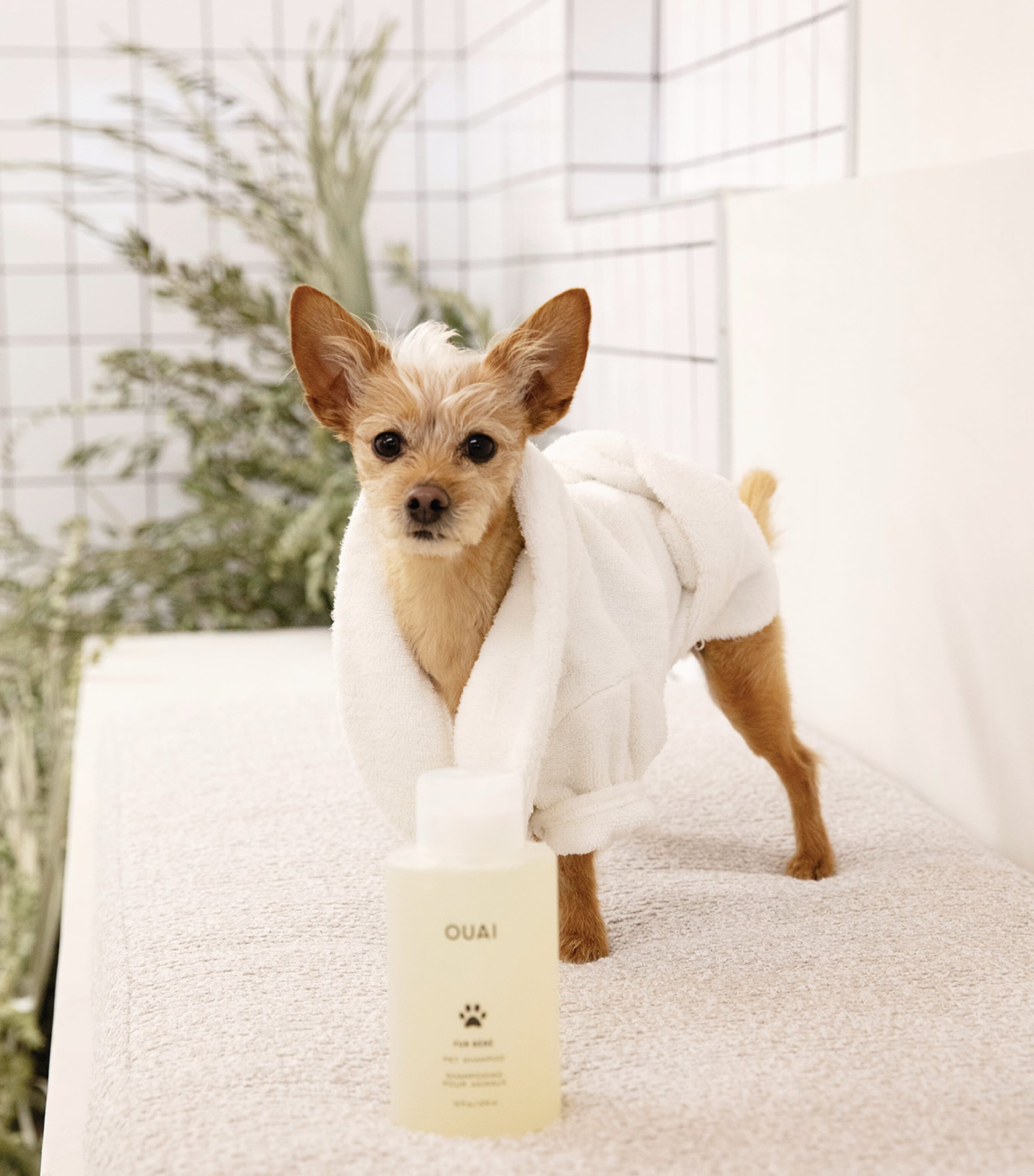 Fur Bébé Pet Shampoo