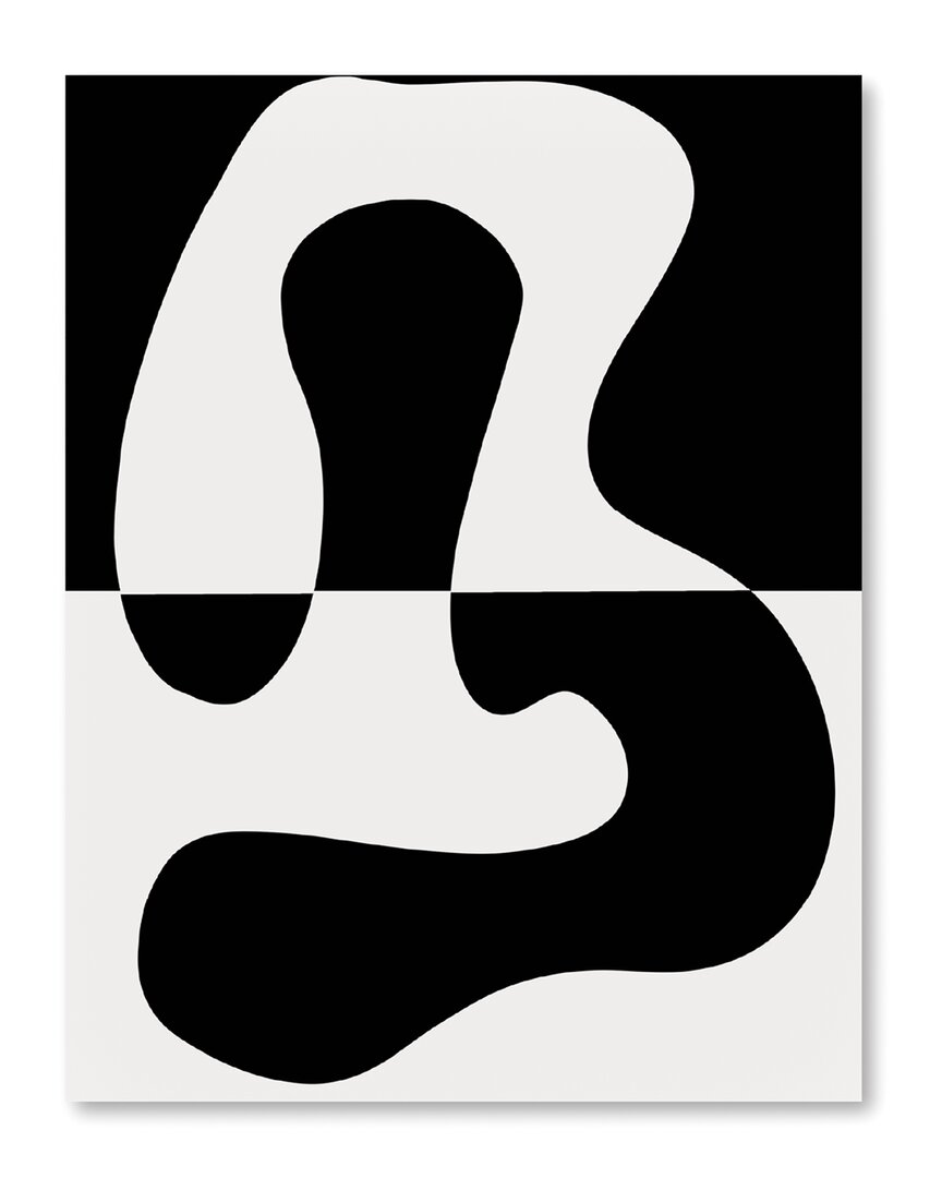Black & White Contemporary Canvas Wall Art