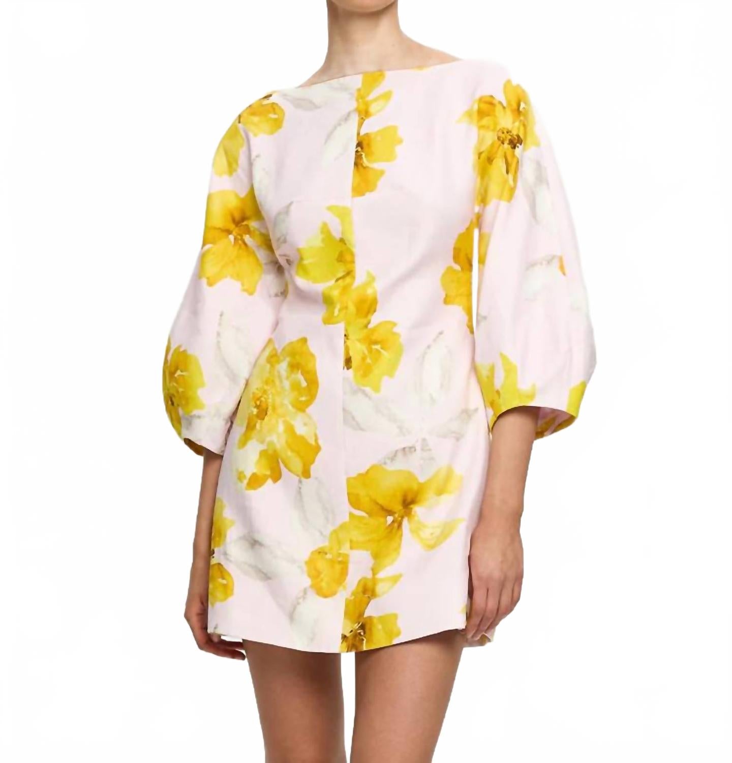 Francine Mini Dress In Pink Yellow
