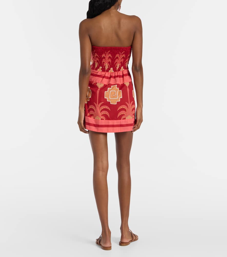 Raiz printed cotton minidress