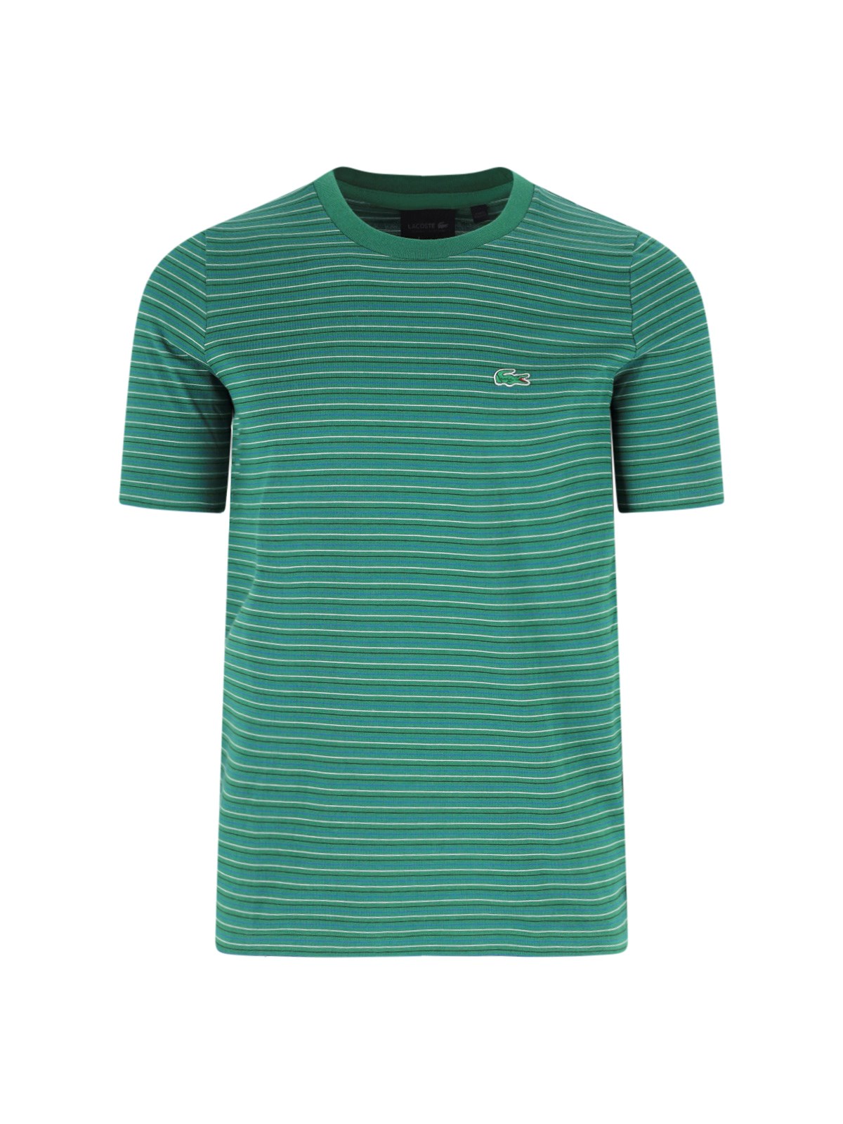 Cotton Jersey T-Shirt