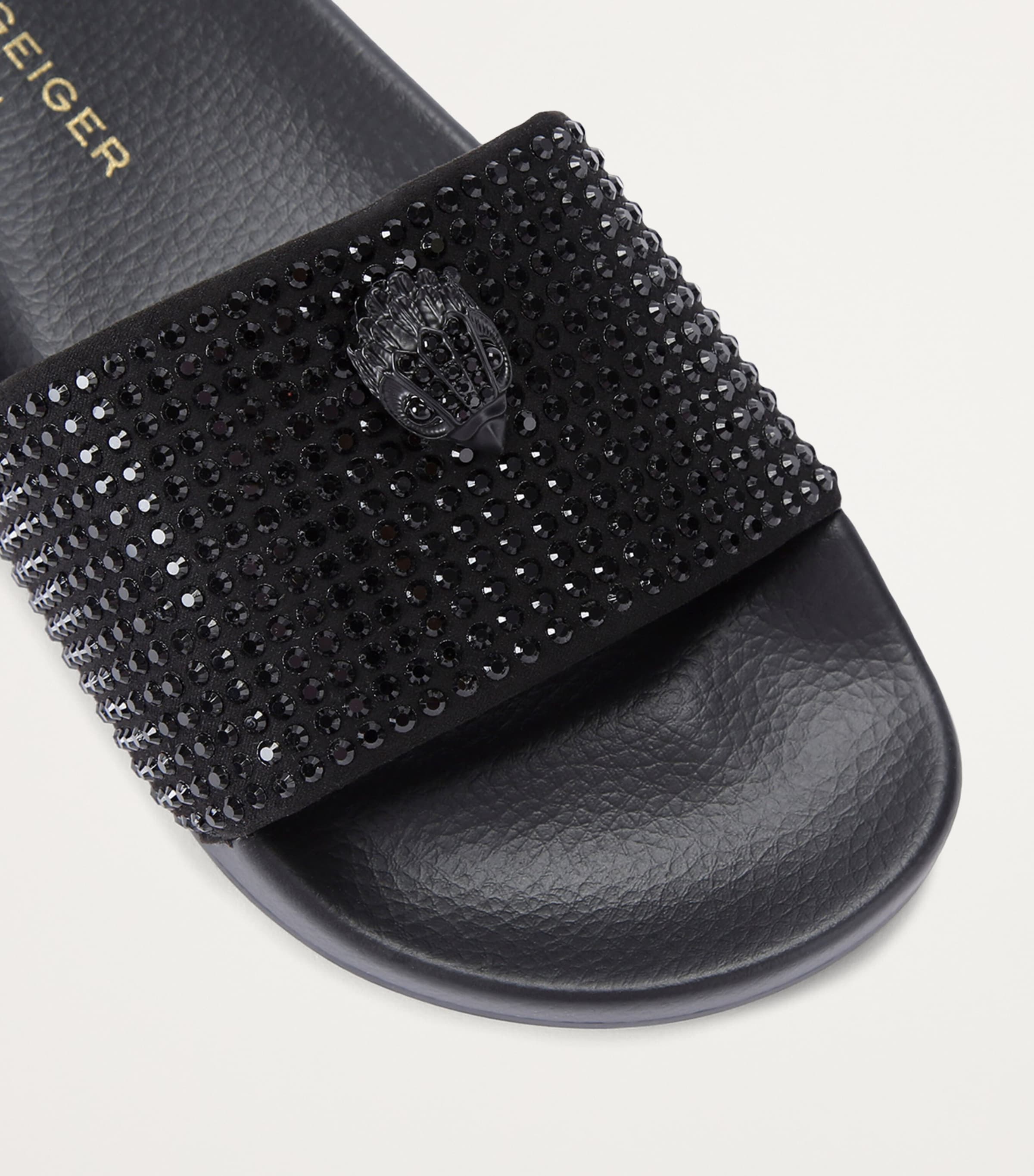 Meena Eagle Slides