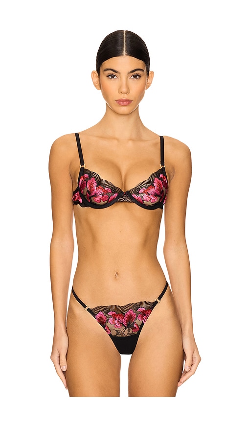 BLUEBELLA Vivienne Bra in Black,Pink. -  36B also in 32C, 32D, 34B, 34C, 34D