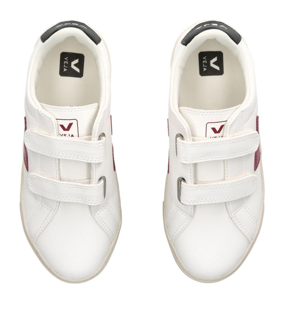 Leather Esplar Sneakers