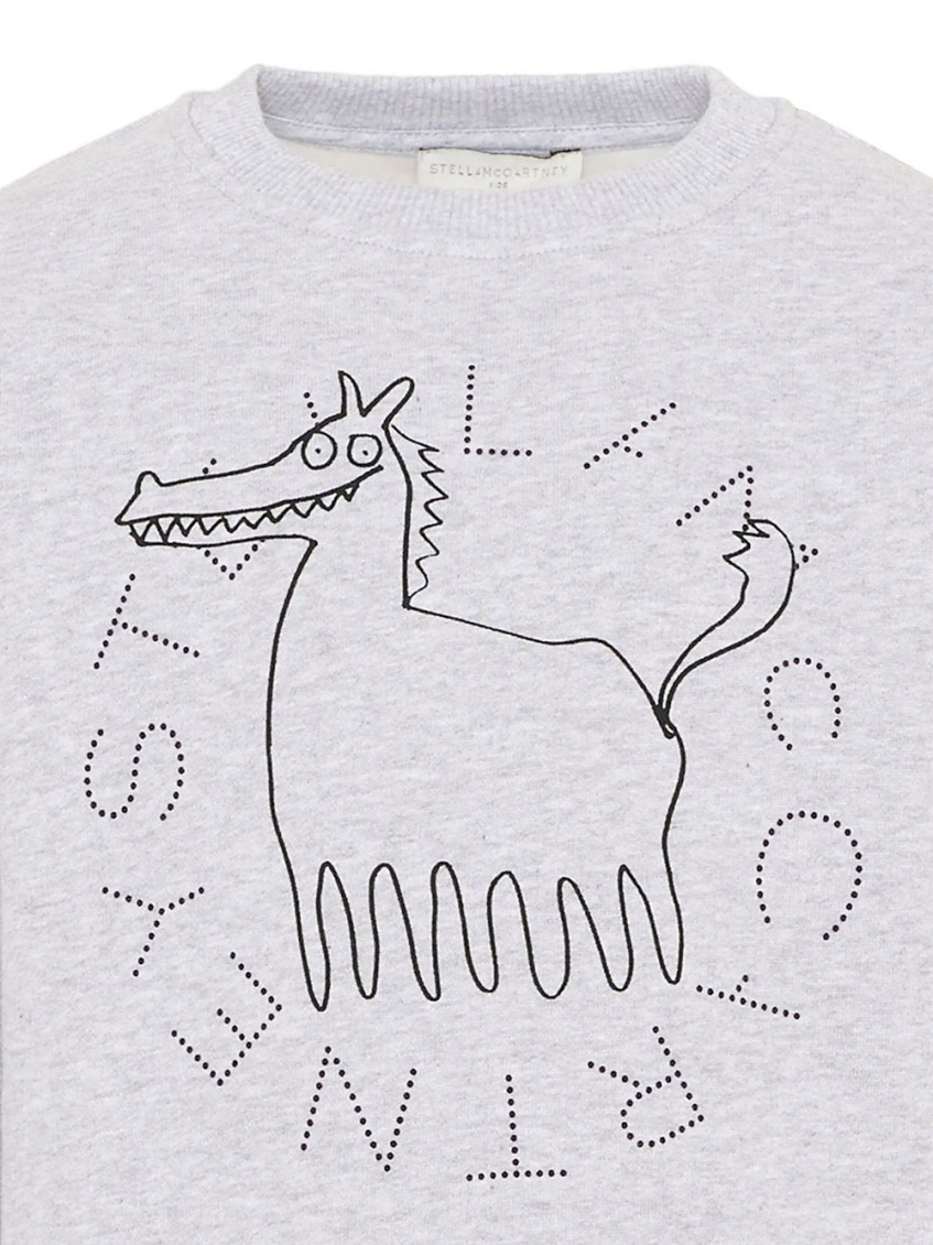 Boys Grey Graphic Sweatshirt