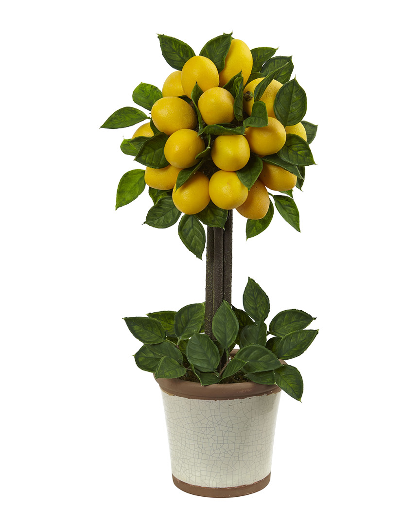 Lemon Ball Topiary Arrangement