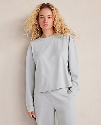 Ann Taylor Haven Well Within Botanical-Dyed Organic Cotton Interlock Top
