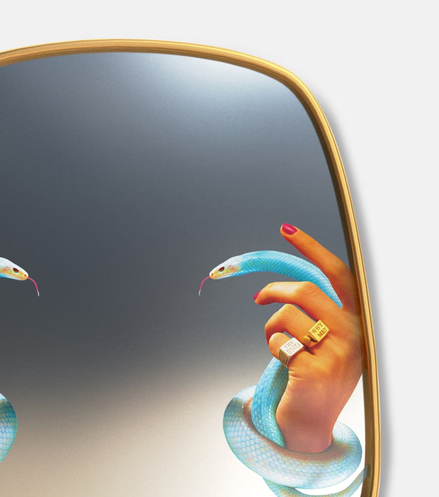 X Toiletpaper Snakes mirror