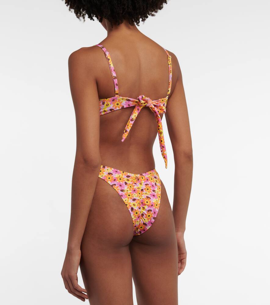 Lenny floral bikini bottoms
