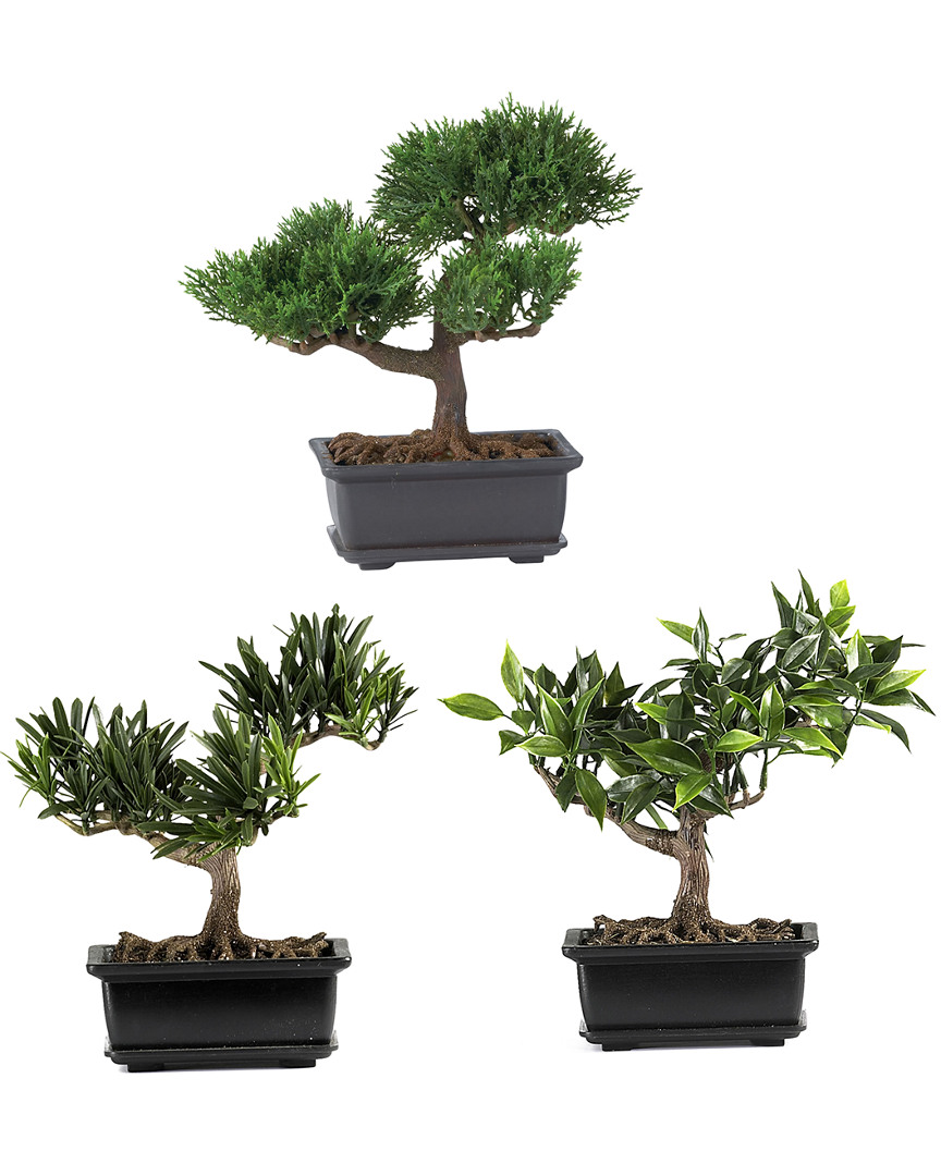 Set of 3 Bonsai Silk Plants