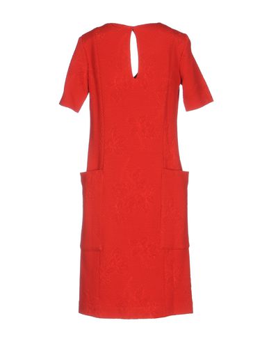 Woman Mini dress Red Size 6 Acrylic, Polyamide, Wool