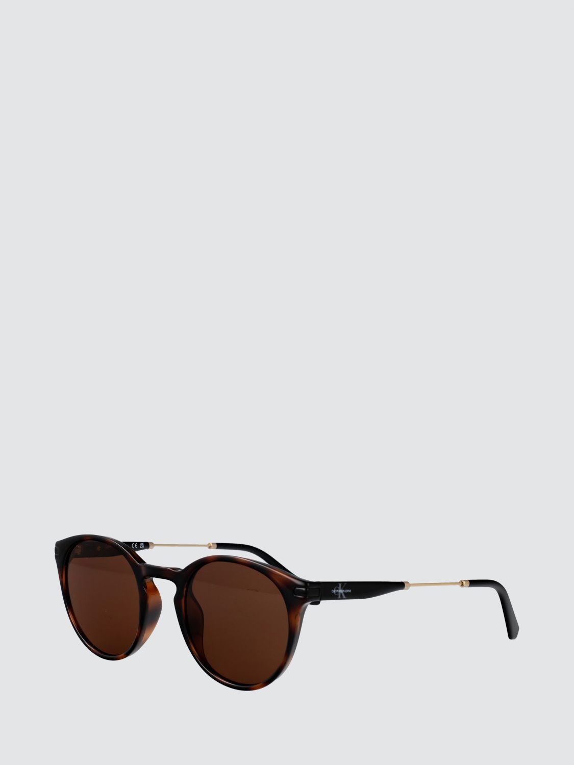 Sunglasses Men color Brown