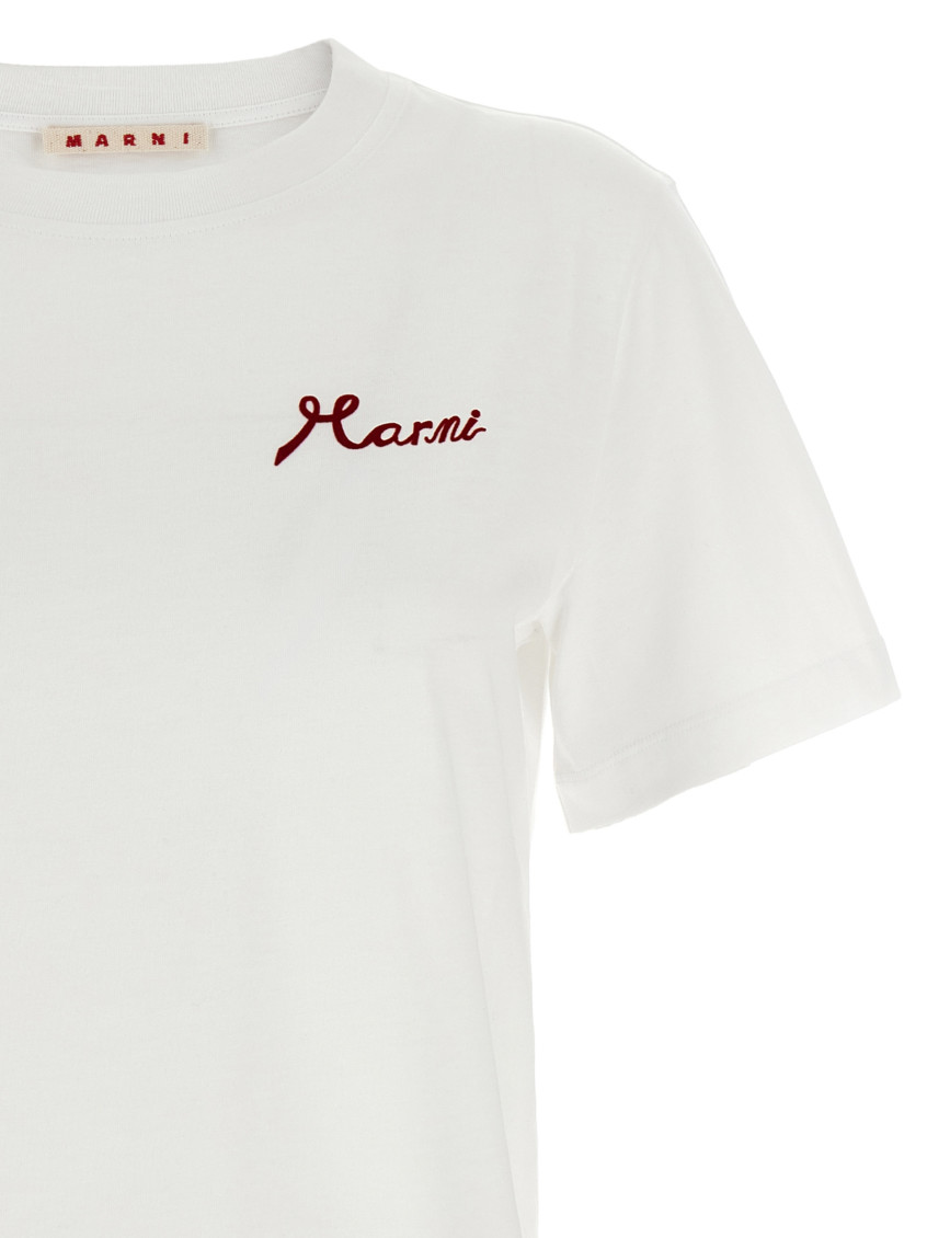 T-Shirts And Polos