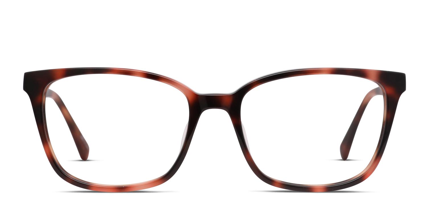 Davina Tortoise