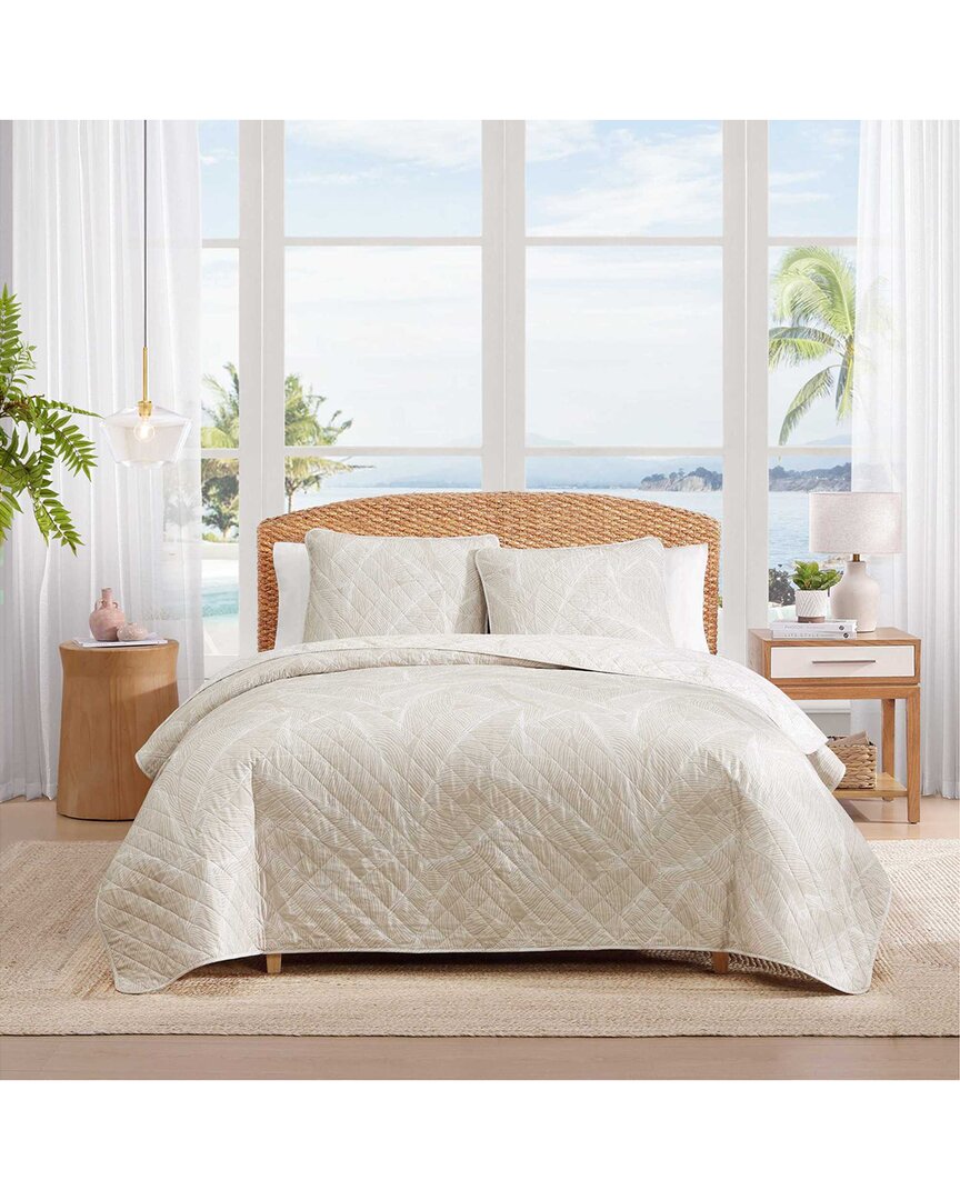 Pebble Palms Cotton Quilt Set