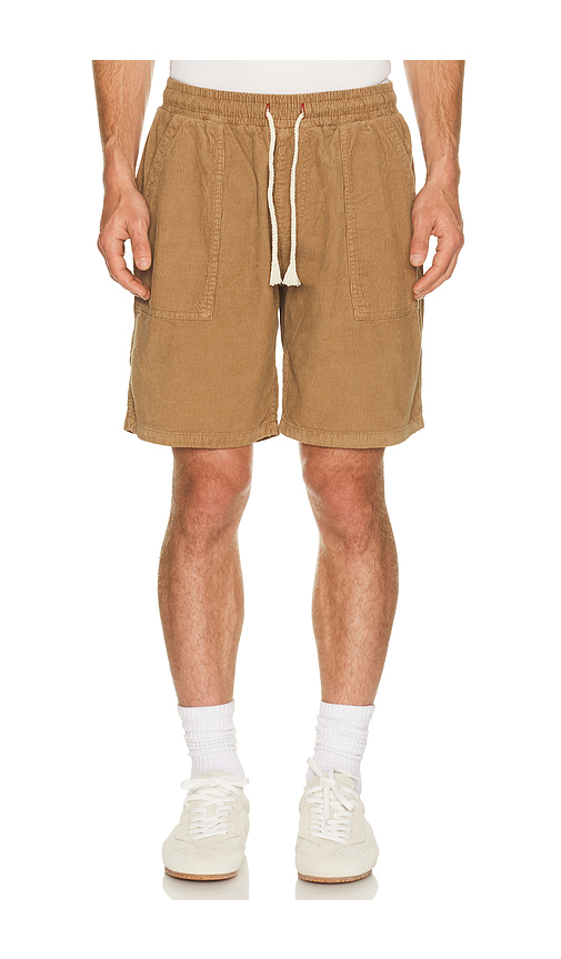 Iron & Resin Logan Shorts in Brown. 30. Also , 33