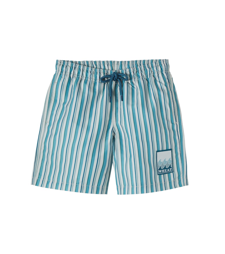 Hansi striped swim tunks