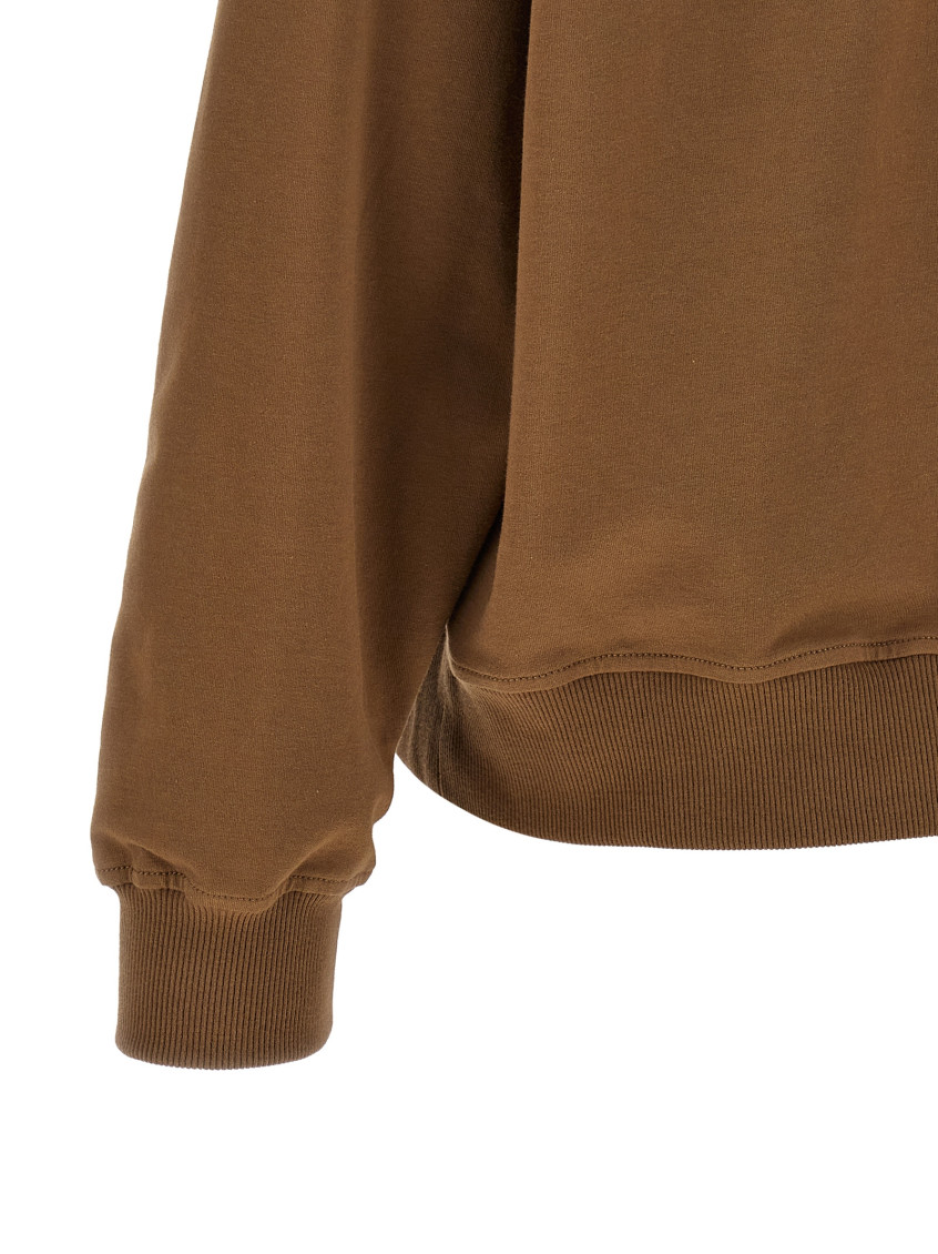 Brown Solid Hood Sweatshirt