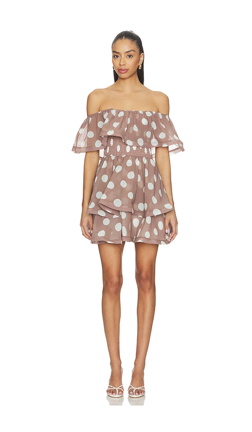 ELLIATT Sola Polka Dot Mini Dress in Brown. L. Also in M, S, XL