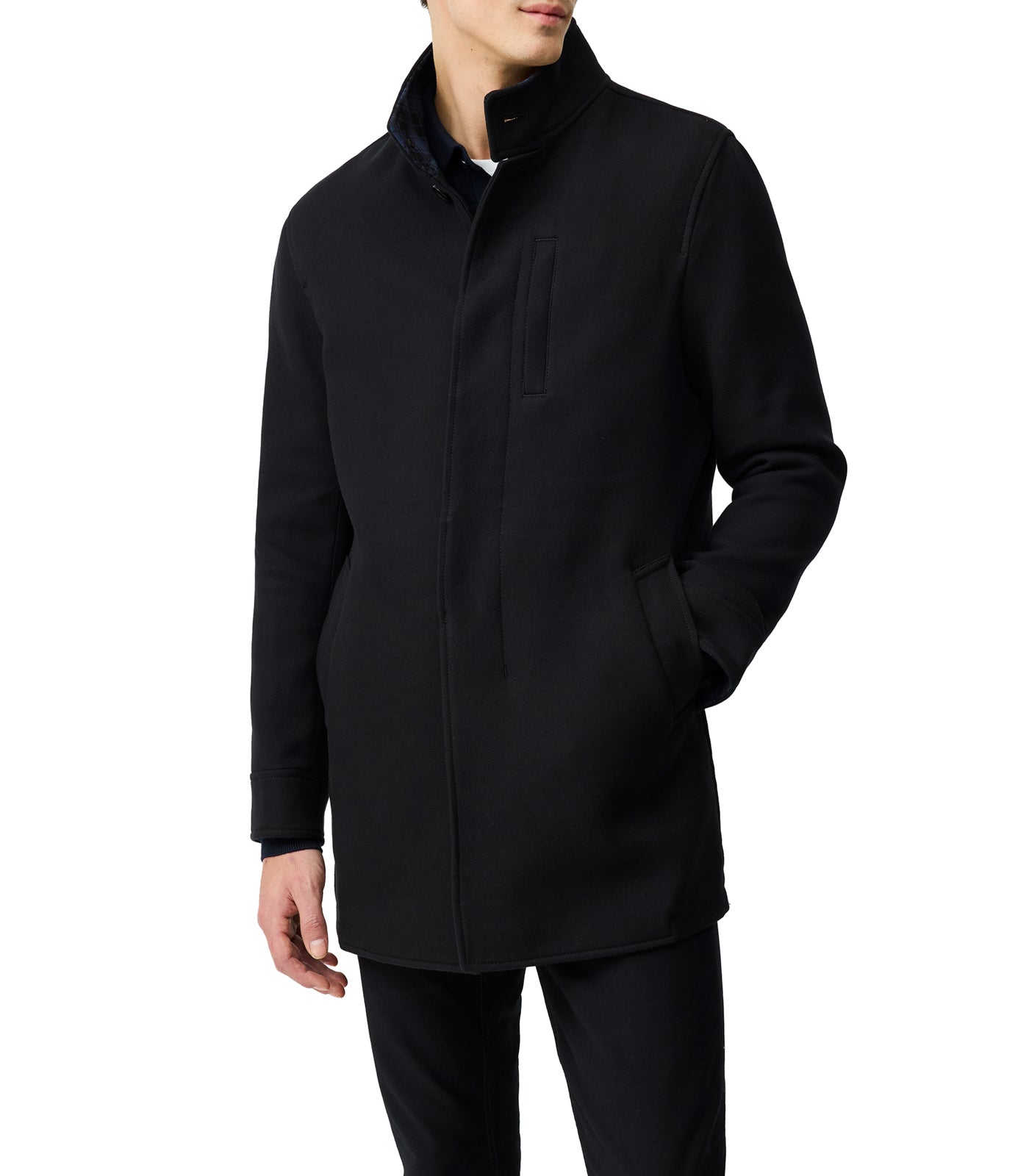 Cain Flat Coat