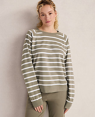 Ann Taylor Haven Well Within Organic Cotton Interlock Everyday Sweatshirt