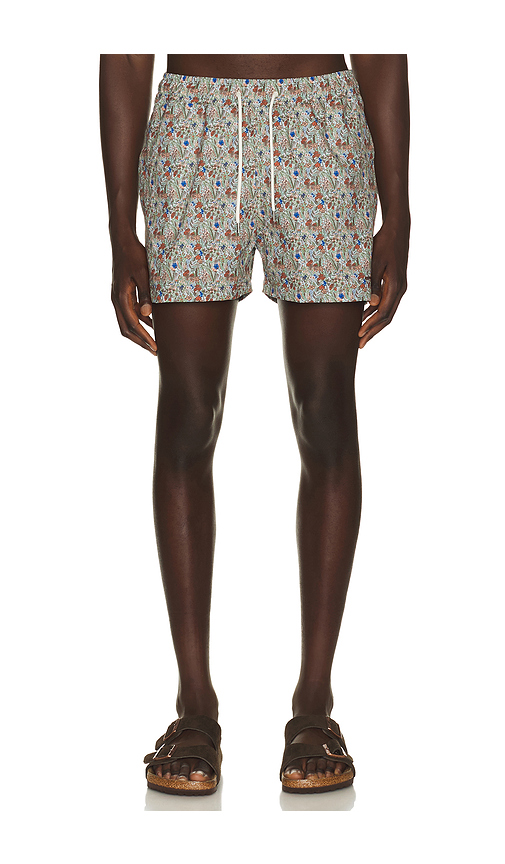 Edmmond Studios Wildlife Swim Shorts in Brown. XL/1X. Also in