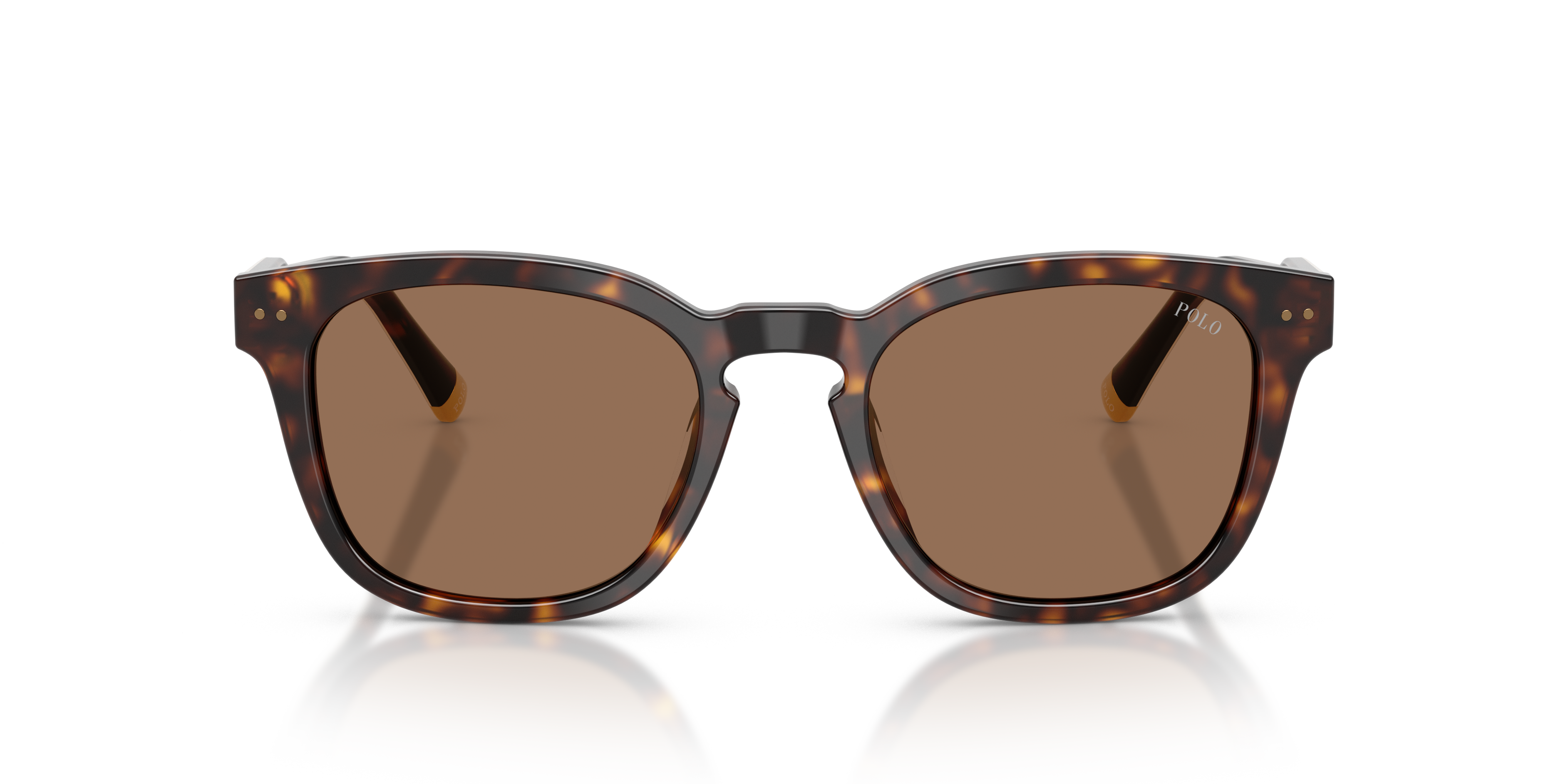 Polo Ralph Lauren Hombre Polo Ralph Lauren PH4242U 562573 Gafas de sol Acetato Tortuga Marrón Cuadrada Norma