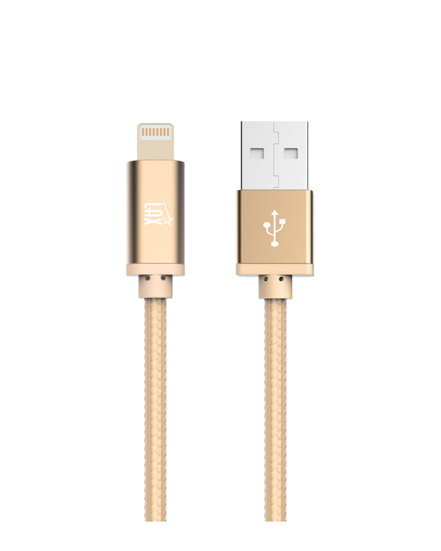 10ft Lightning to USB Cable