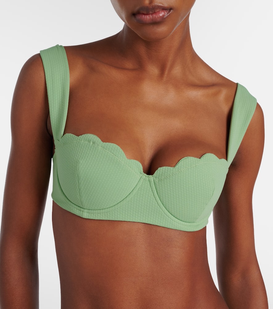 North scalloped bikini top
