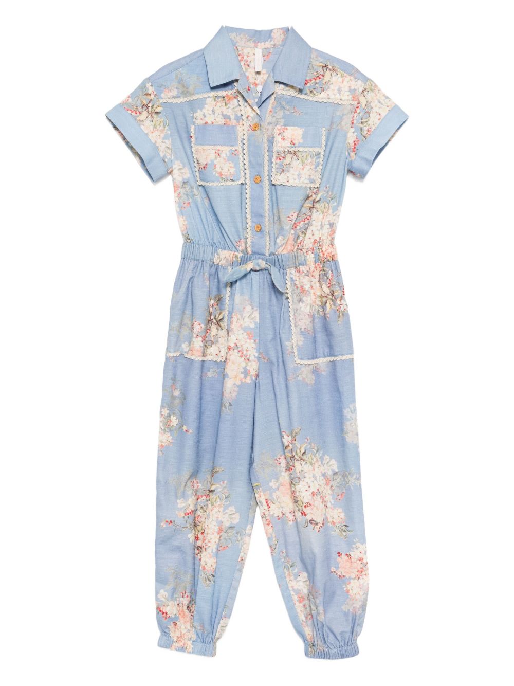 Cascadian floral-print jumpsuit - Blue