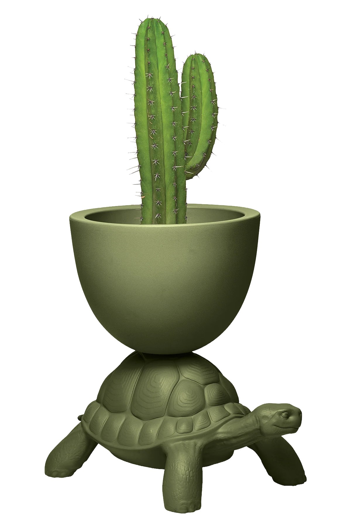 'Turtle Carry Planter And Champagne Cooler' Vase