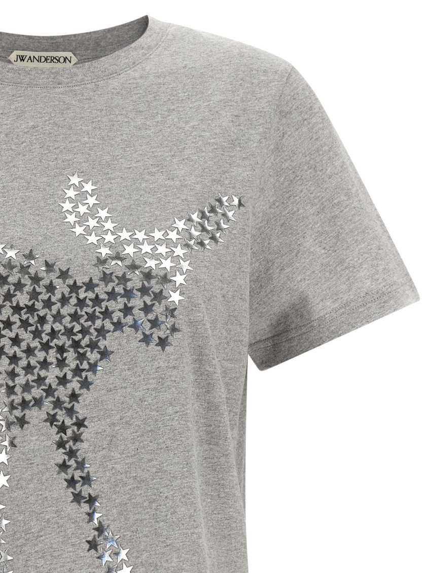 Grey Graphic Crew Neck T-Shirt