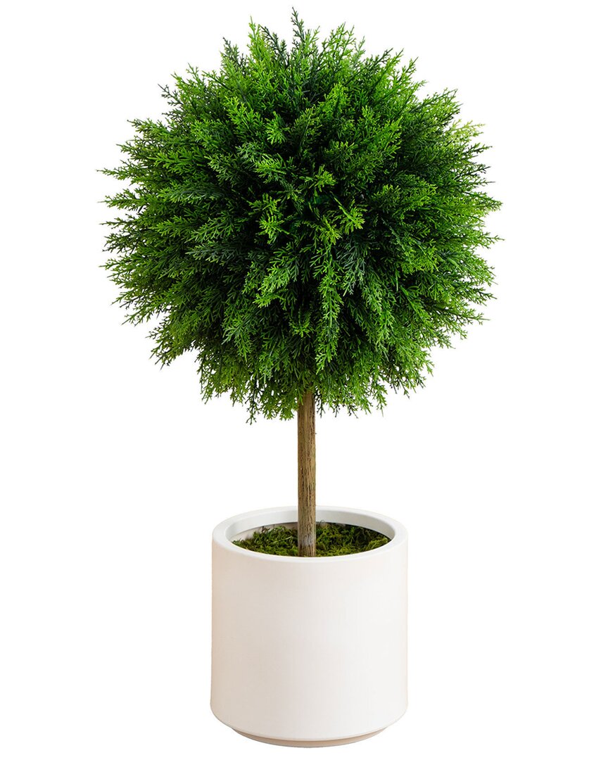 2.5ft Indoor/Outdoor UV-Resistant Artificial Cedar Ball Topiary Tree in Decorative Planter