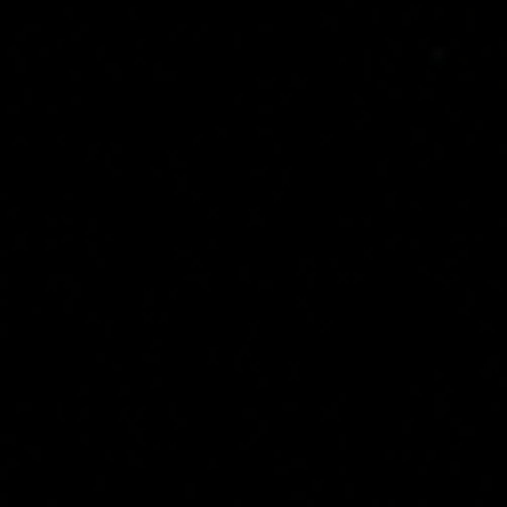 Manchester Sunglasses