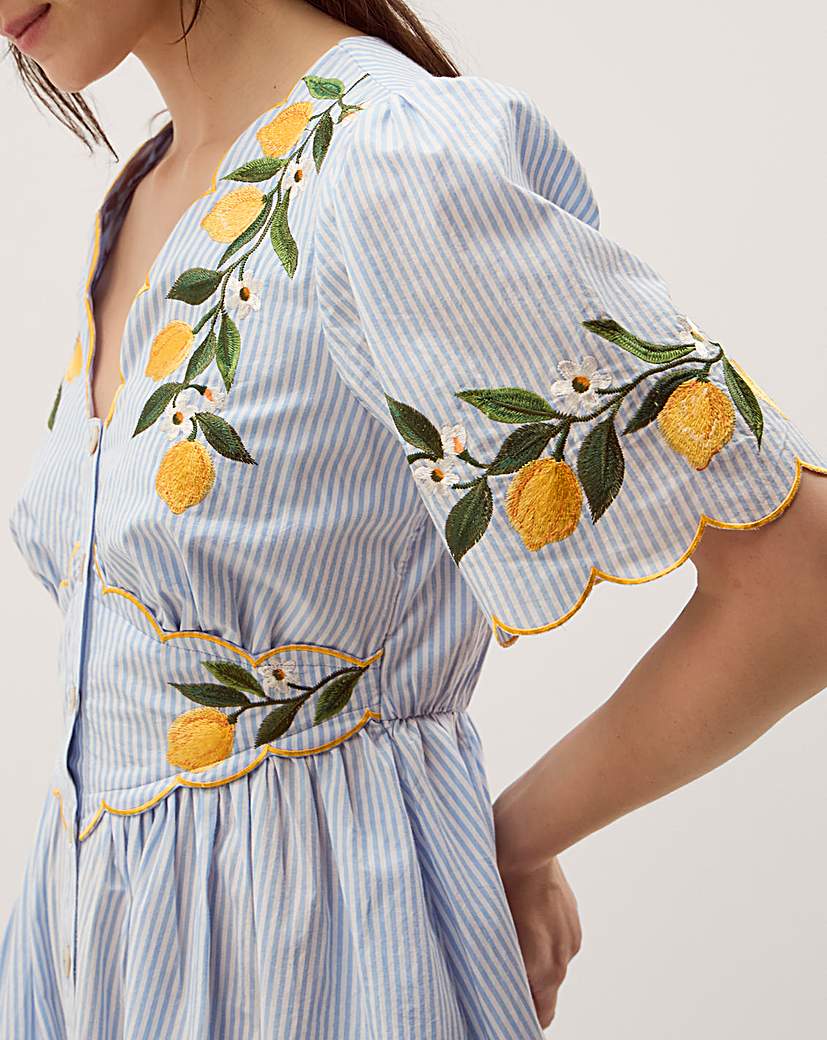 Monsoon Marisol Lemon Stripe Midi Dre