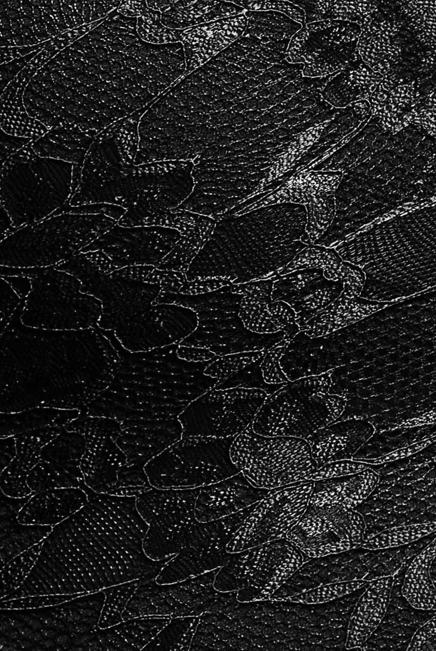 Goddiva Off The Shoulder Lace Skater Mini Dress - Black