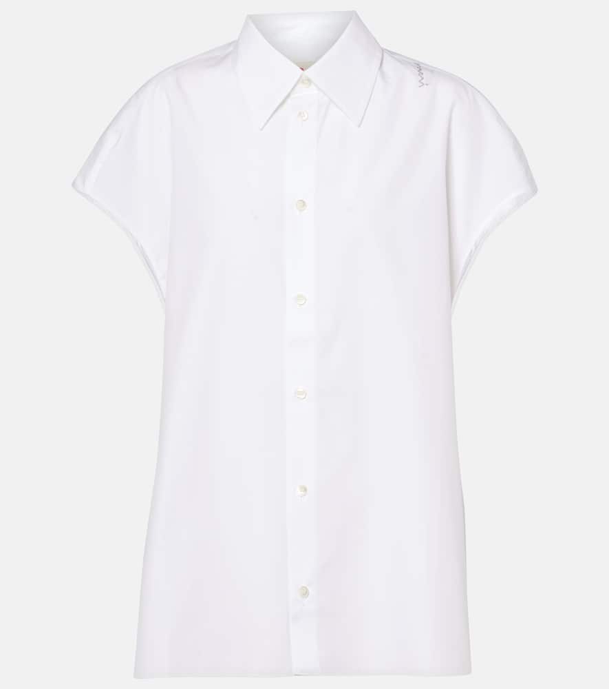 Cotton top