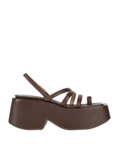 Marsèll Woman Thong sandal Brown