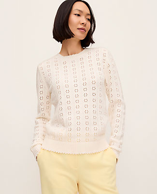 Ann Taylor Cozy Pointelle Sweater