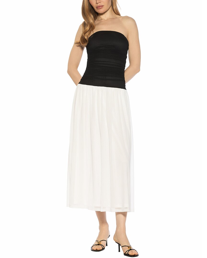 Seraphina A-Line Dress