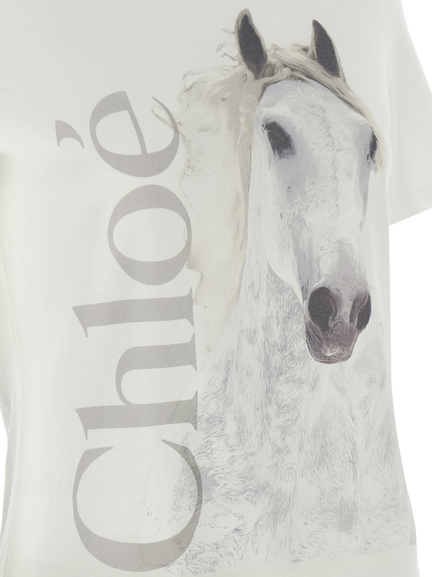 Printed Cotton T-shirt